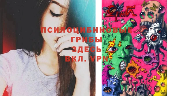 ГАЛЛЮЦИНОГЕННЫЕ ГРИБЫ Белокуриха
