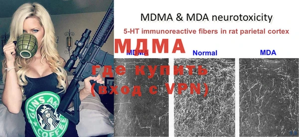 ГАЛЛЮЦИНОГЕННЫЕ ГРИБЫ Белокуриха