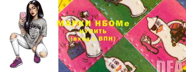 шишки Каменногорск