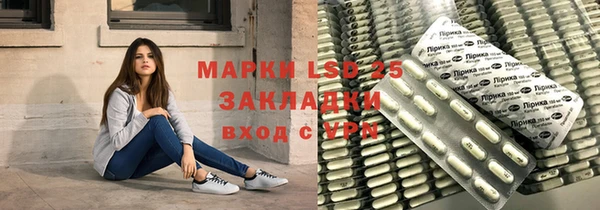 ГАЛЛЮЦИНОГЕННЫЕ ГРИБЫ Белокуриха