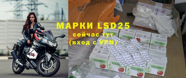 ГАЛЛЮЦИНОГЕННЫЕ ГРИБЫ Белокуриха