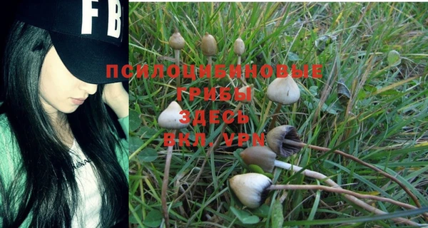 a pvp Белоозёрский
