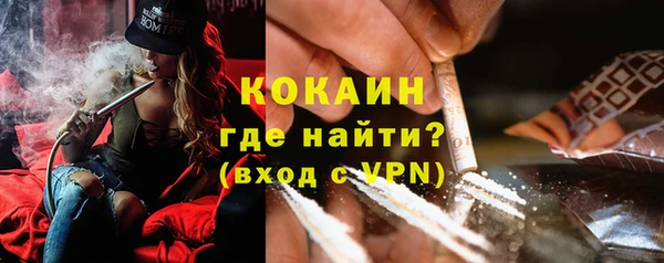 ГАЛЛЮЦИНОГЕННЫЕ ГРИБЫ Белокуриха