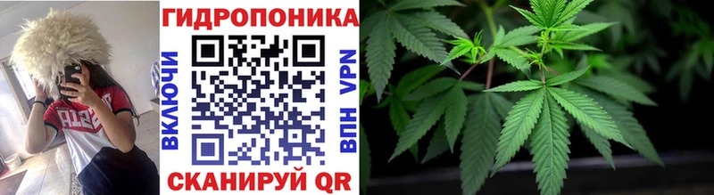Марихуана сатива Видное