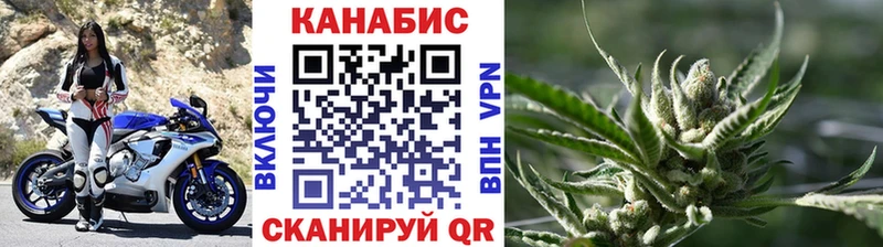 Конопля Bruce Banner  Видное 