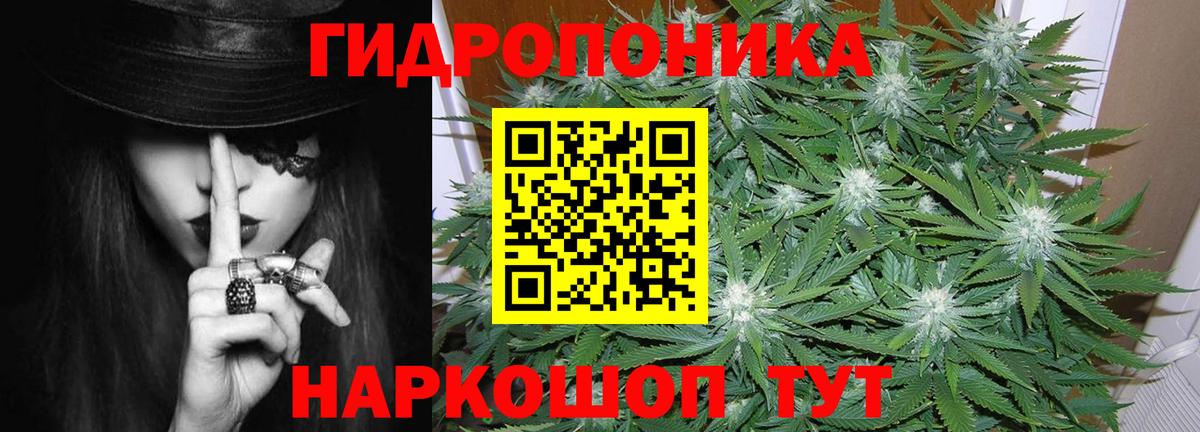 Бошки Шишки Amnesia Видное